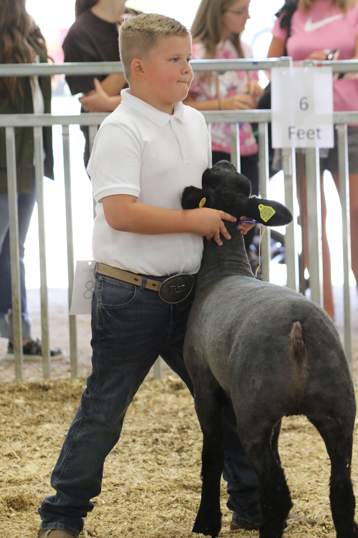 PHOTO: Sheep Show at Scotts Bluff County Fair